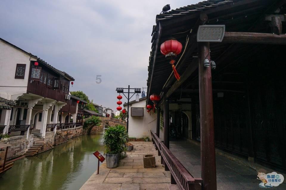 饺子馅好吃有秘诀，教你饭店不外传的配方，肉馅鲜嫩多汁无腥味游戏画面